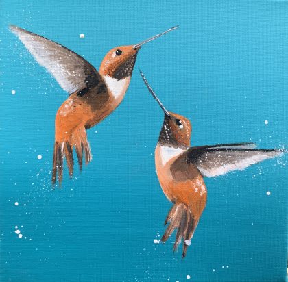 Rufous Hummingbirds