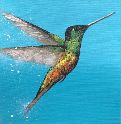 Hummingbird Love
