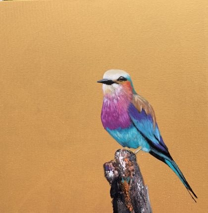 Lilac Breasted Roller (SOLD)