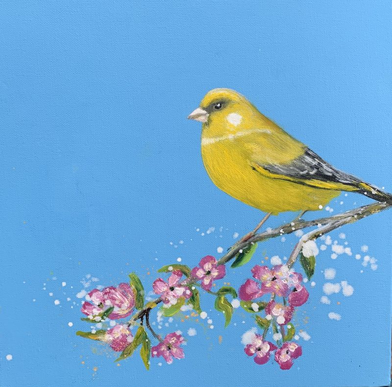 The Greenfinch
