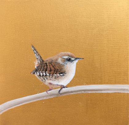 Jenny Wren