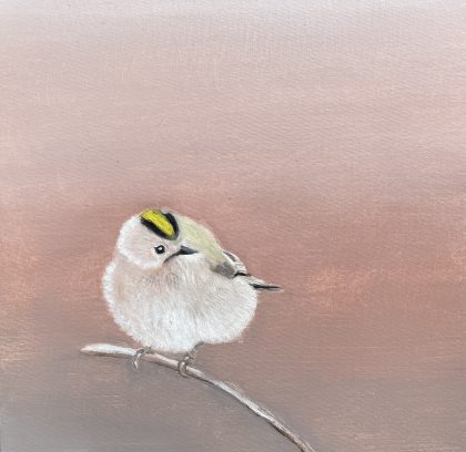 Goldcrest