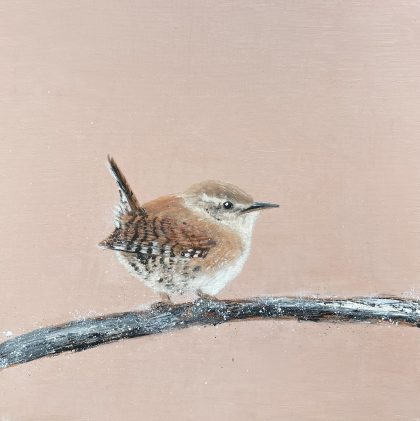 Jenny Wren II