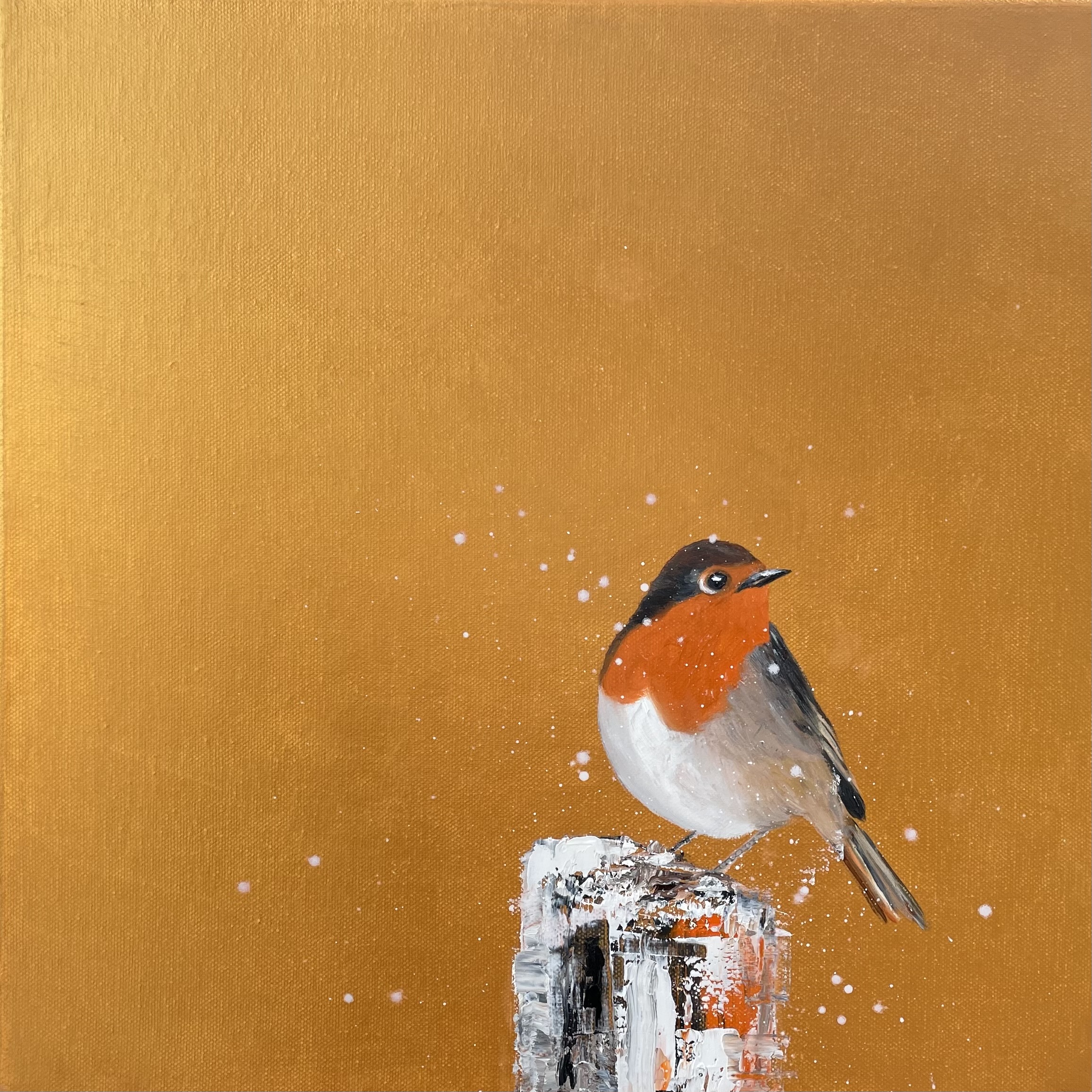 Red Robin in the Snow