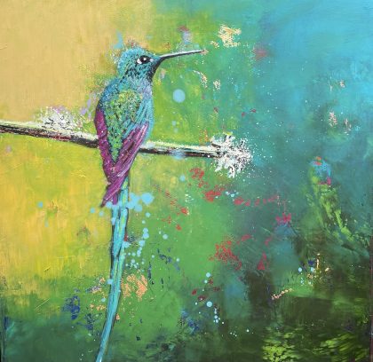 Long tailed Sylph