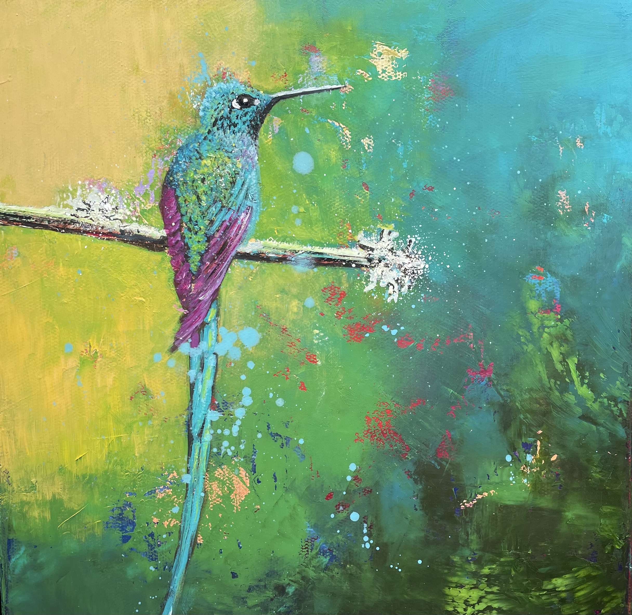 Long tailed Sylph