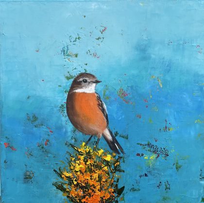 Stonechat on Gorse