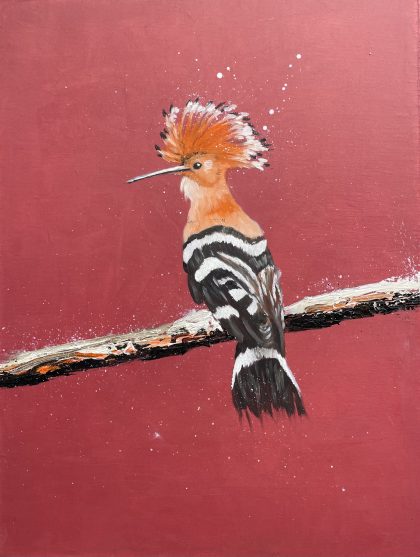Hoopoe II
