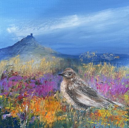 Female blackbird on the Moors near Brentor Church